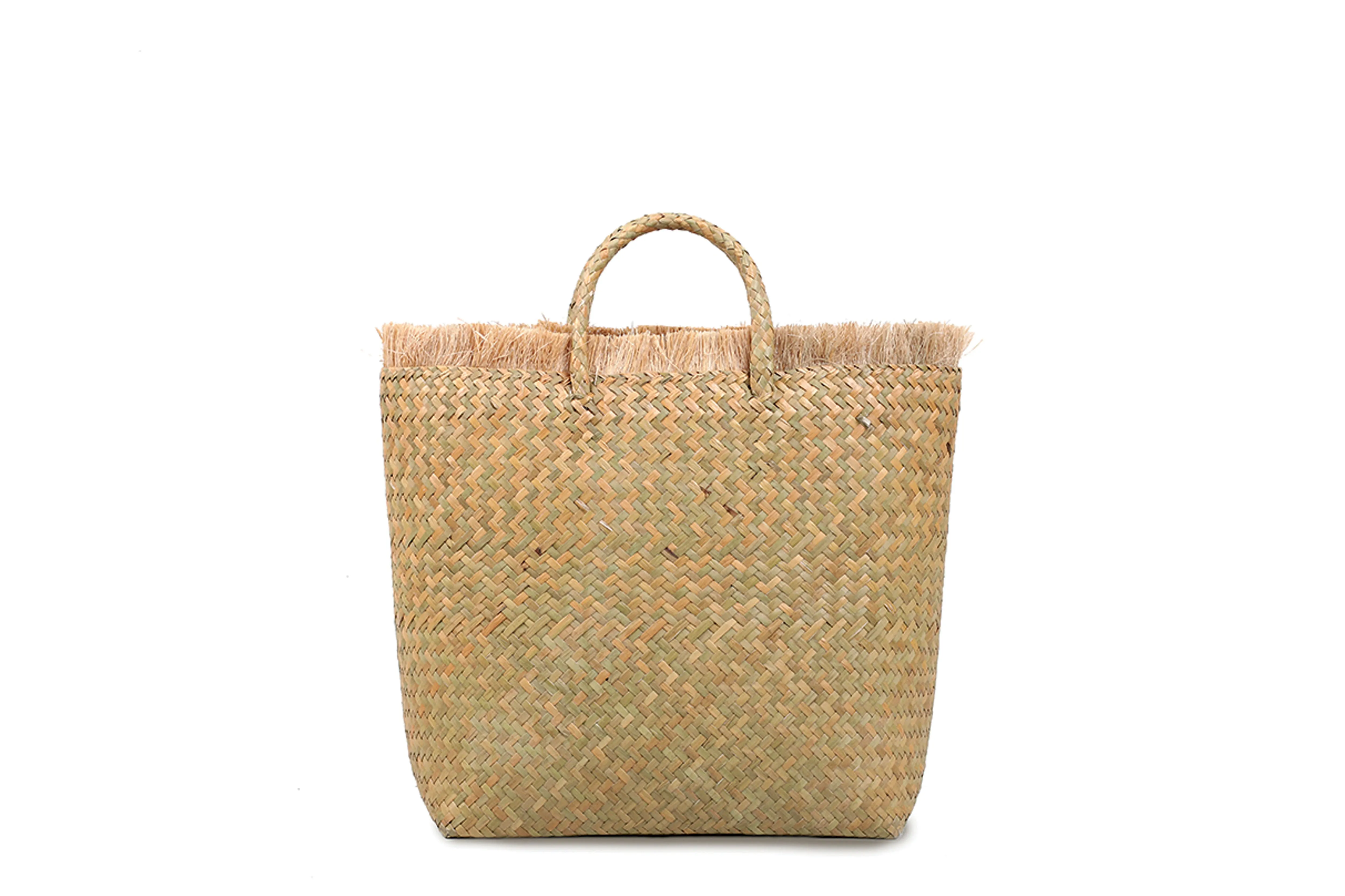 Beach Bag with lining (Paint)