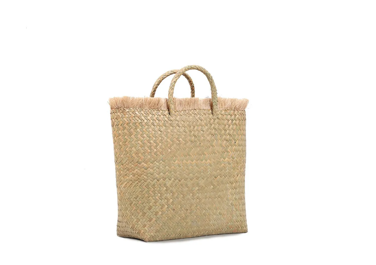 Beach Bag with lining (Paint)