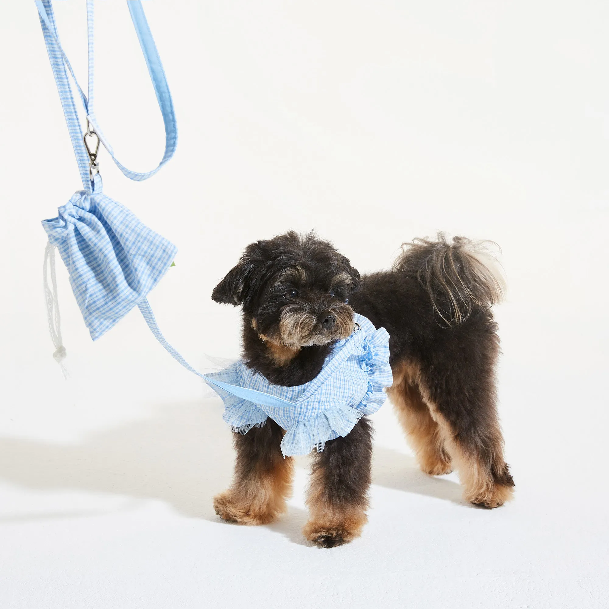 Country Chic Frill Harness Set - Blue