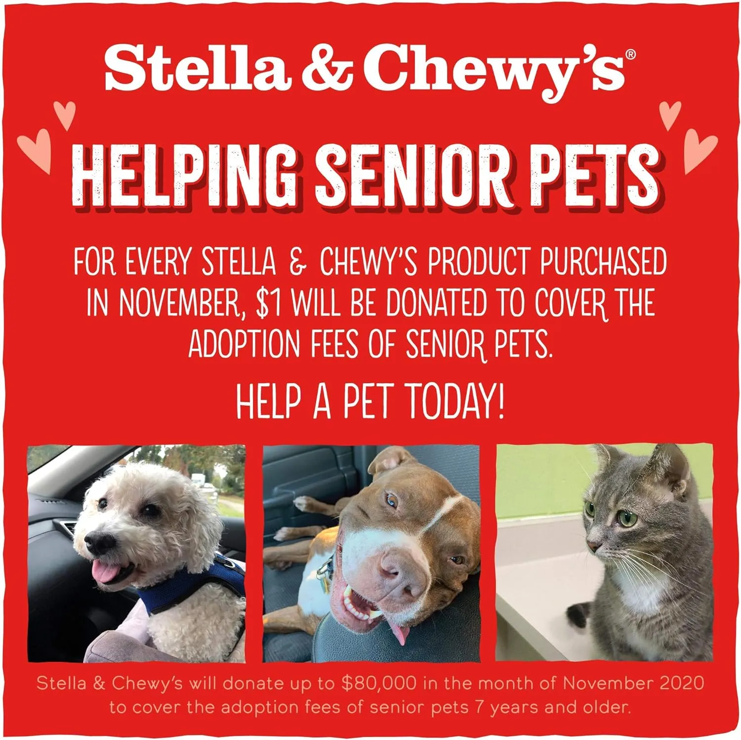 Stella & Chewy's Chicken Meal Mixers: Freeze-Dried Raw Dog Food Topper, Perfect for Small & Large Breeds, Grain-Free and Protein-Rich Recipe, 3.5 oz Bag