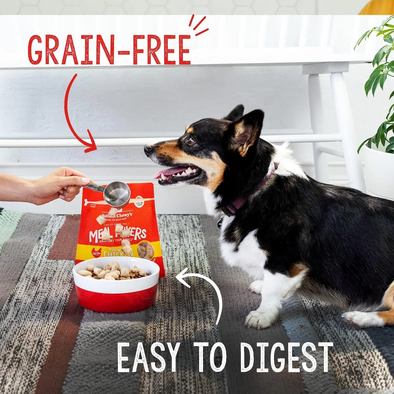 Stella & Chewy's Chicken Meal Mixers: Freeze-Dried Raw Dog Food Topper, Perfect for Small & Large Breeds, Grain-Free and Protein-Rich Recipe, 3.5 oz Bag